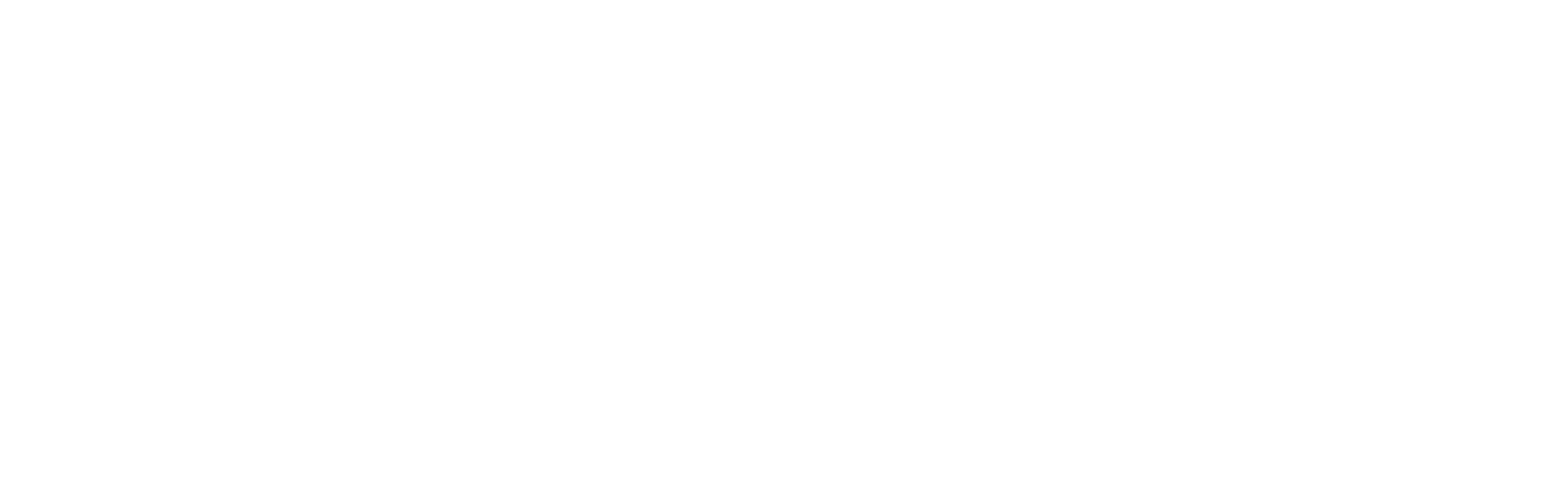 Zucchetti Healthcare